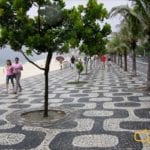 You Can Do This: Shadowing The Spirit Of Jobim You Can Do This: Shadowing The Spirit Of Jobim