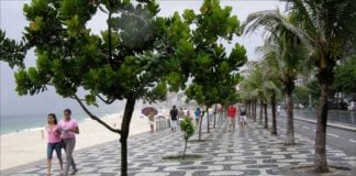 You Can Do This: Shadowing The Spirit Of Jobim