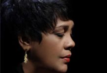 The Best of Rosa Passos at Connectbrazil.com