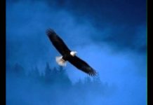 Happy Birthday Dave Grusin