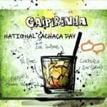 5 Can’t-Miss Ways To Celebrate National Cachaça Day National Cachaca Day . A lime green graphic showing how to make the perfect caipirinha cocktail.