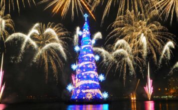 Rio de Janeiro's floating Chritsmas trees with fireworks at night