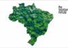 Brazil’s Geography and Biodiversity Brazil's Geography and biodiversity. Green Forest Map of Brazil