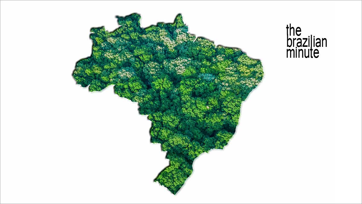 The Atlantic Forest: Exploring its Biodiversity & Challenges