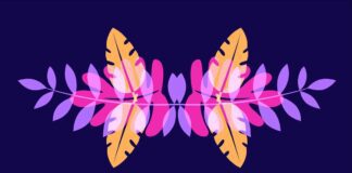 Guitarist Nate Najar's 'Samba De Uma Nota So'. Colorful screen capture from video.