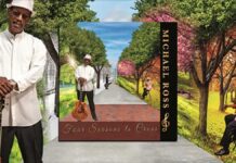 10 Questions with Chicago Jazz Guitarist Michael Ross