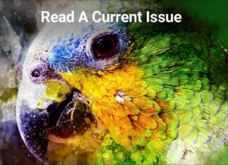 Connect Brazil’s Weekender E-Letter