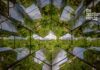 Inhotim is Brazil's outdoor artistic masterpiece. Refracted images of Inhotim's tropical greenery from within a giant kaleidoscope.