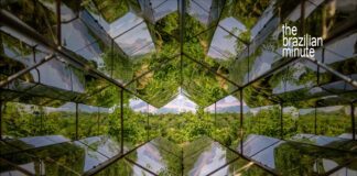 Inhotim is Brazil's outdoor artistic masterpiece. Refracted images of Inhotim's tropical greenery from within a giant kaleidoscope.